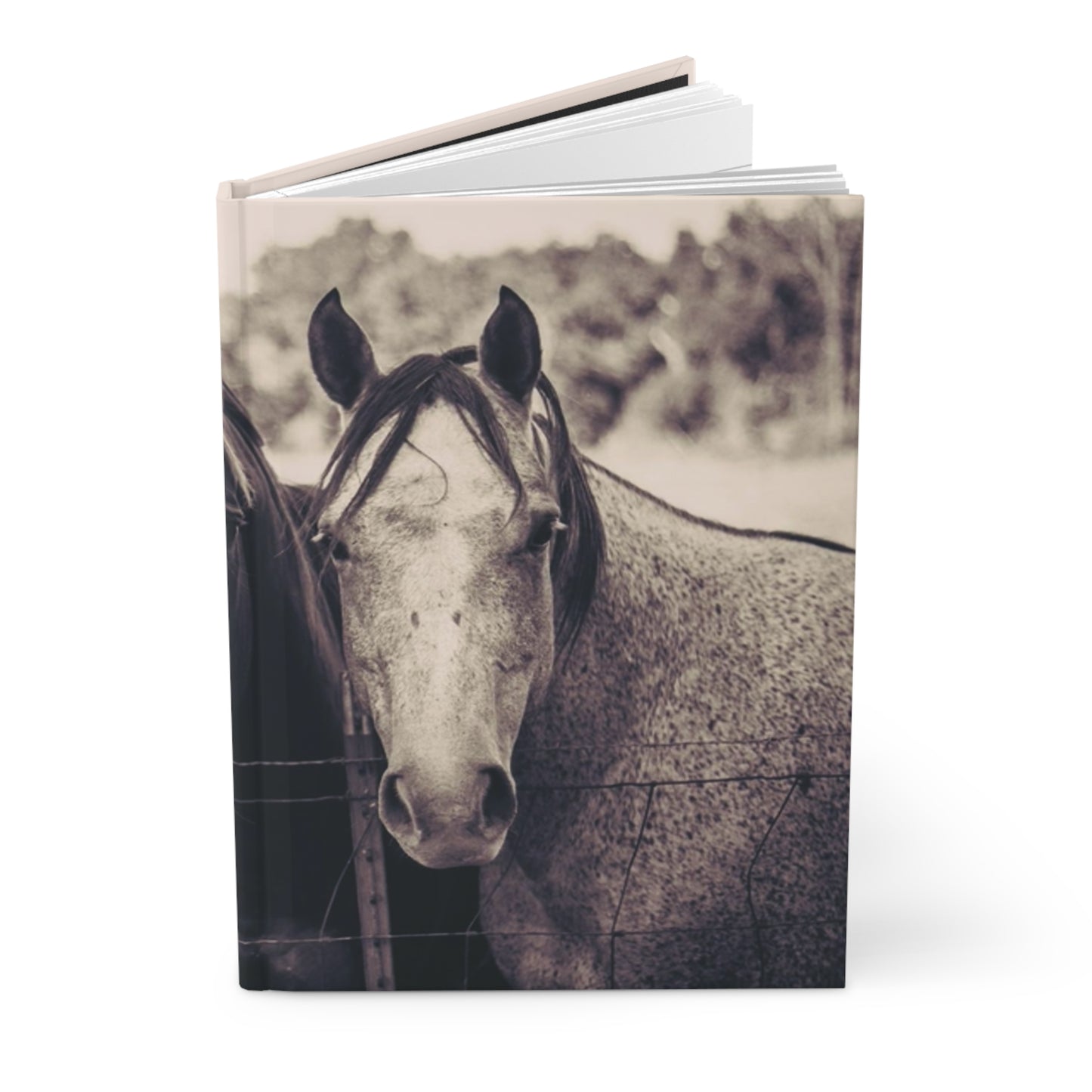 Hardcover Journal Matte